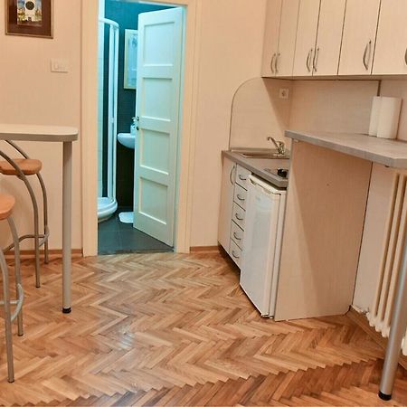 Bojan Central Apartment Novi Sad Dış mekan fotoğraf