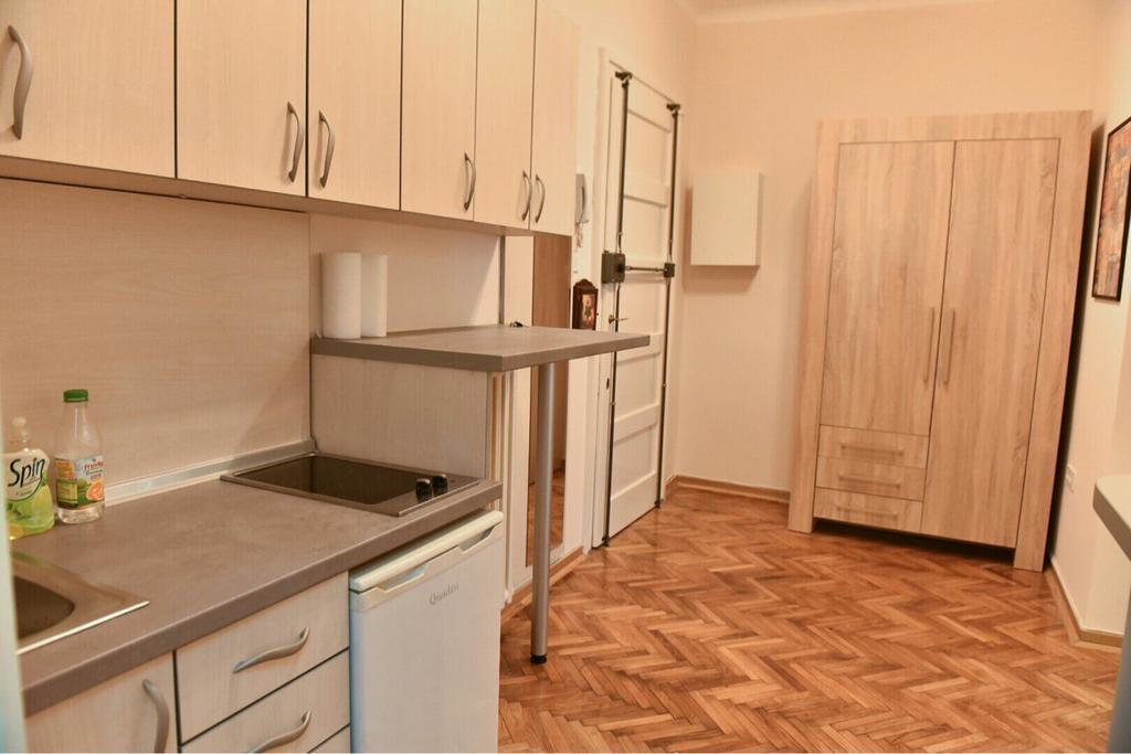 Bojan Central Apartment Novi Sad Dış mekan fotoğraf