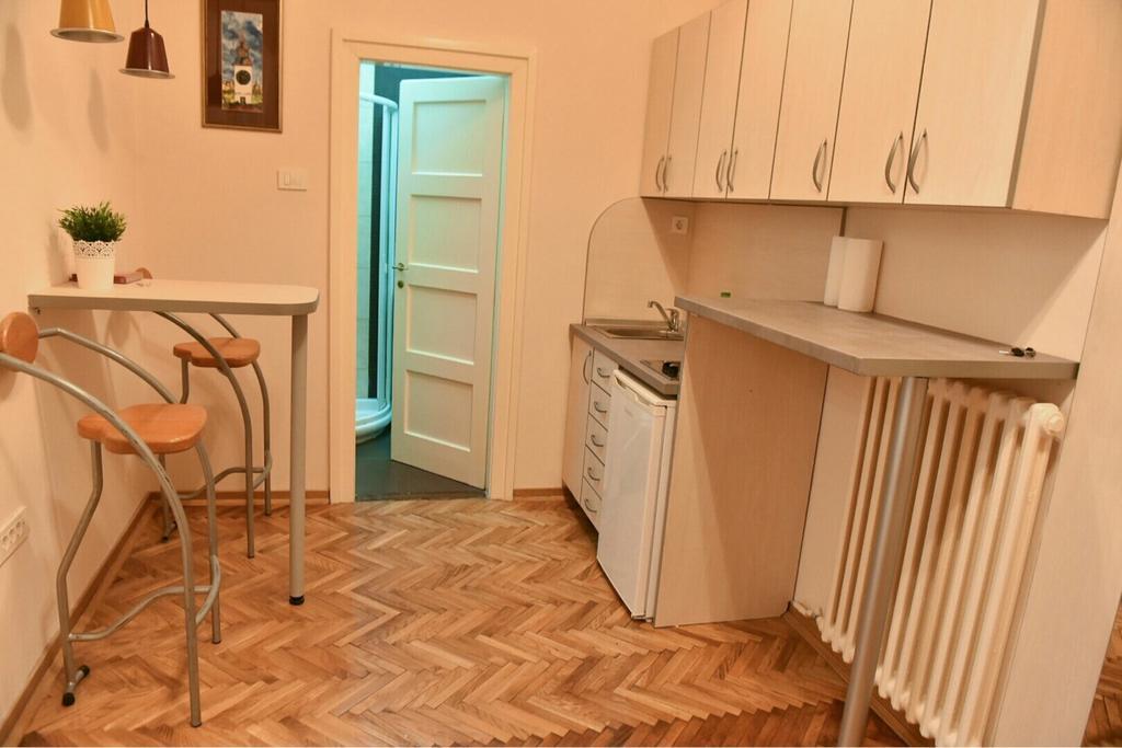 Bojan Central Apartment Novi Sad Dış mekan fotoğraf